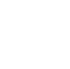Image of GitHub icon